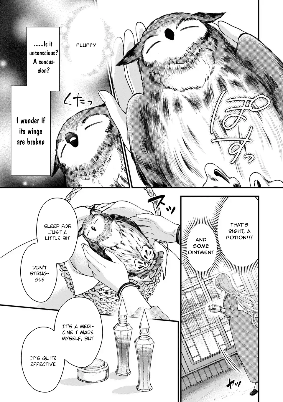 The Owl and Its Mate Chapter 1 - . Page 33